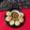 Dr. Pushpa Dixit's cooksnap of when they made લીલવા ની કચોરી (Lilva Kachori Recipe In Gujarati).