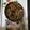 sarla gupta's cooksnap of when they made Masala bhindi.