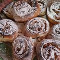 El cooksnap de Nancy cuando hizo Rolls de manzana 🍎😍.
