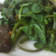 Cooksnap dari Onie Zamronie untuk resep Cemeding Kangkung