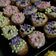 Cooksnap dari Lidya Ulfa Alkaf untuk resep Donat kentang tanpa telur