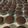 El cooksnap de Dicky Jones cuando hizo Cupcakes de vainilla o chocolate.