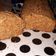 El cooksnap de JiMeNa cuando hizo Budín de zanahoria y naranja (integral y sin azúcar).