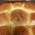 audrey robinson-roy's cooksnap of when they made Dinner Rolls.