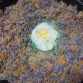 El cooksnap de Anna Bella alias Moni Argento cuando hizo Tortilla de Repollo Morado, Zanahoria y Huevos.