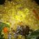 Cooksnap dari Sri Indah Purwati untuk resep Menu anak 1tahun +Nasi panggang