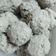 Cooksnap dari tata untuk resep Bakso sapi homemade