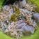 Cooksnap dari Umm Hasna untuk resep Tekwan Dos (tanpa ikan)