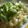 Cooksnap dari Fifi untuk resep Fettucini with Bechamel Sauce