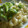Cooksnap dari Fifi untuk resep Fettucini with Bechamel Sauce