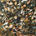 El cooksnap de Mario Beltrán Pérez cuando hizo Potaje de garbanzos con espinacas.