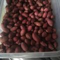 Muthoni Muchiri's cooksnap of when they made Roasted groundnuts.