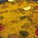 El cooksnap de mis-cocteles cuando hizo 🇪🇸 Arroz en paella con conejo y alcachofas 🇪🇸.