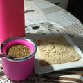 El cooksnap de Daniela Narvaez cuando hizo Pan casero rápido y fácil de avena.
