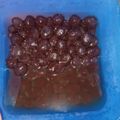 Cooksnap dari Ayu Ariyanti Yuyu untuk resep Bubble pearl home made simple