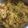 Dipika Bhalla's cooksnap of when they made વેજિટેબલ પુલાવ (Vegetable Pulao Recipe In Gujarati).