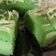 Cooksnap dari Najwa Syakira untuk resep Brownies kukus coklat pandan no ribet
