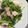 あー汰む's cooksnap of when they made ほうれん草のベーコンバター炒め.