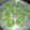 Cooksnap dari Bunda dian untuk resep Milky Puding Melon Selasih