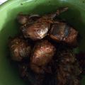 Cooksnap dari Milkha untuk resep Ikan tongkol balado😄😄😄