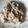 Shannon 's cooksnap of when they made Vanilla ice cream with oreo.
