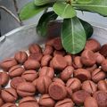 Cooksnap dari Uliel Azmi untuk resep Coffee Cookies