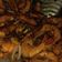 Cooksnap dari Destri Nurmala untuk resep Udang Goreng Mentega
