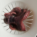 El cooksnap de rostock cuando hizo Como Cocer Pulpo Perfecto.