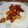 El cooksnap de Ariel Rodriguez cuando hizo Pollo Teriyaki.