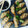 El cooksnap de María Estela Fernández Cancelas cuando hizo Gyozas o Empanadillas Chinas.