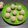 Pinal Parmar's cooksnap of when they made પીનટ લાડુ (Peanut Ladoo Recipe in Gujarati).