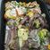 El cooksnap de Paula Suñé cuando hizo Pollo al horno con verduras.