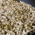 JH 的 剝皮辣椒肉燥 cooksnap