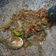 Cooksnap dari Riska Bunda'a Jenny untuk resep Sambal Rampai legenda wisata cibubur Hits