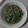 Cooksnap dari Kartika Wicaksaning Prasasti untuk resep Cah kangkung simple