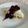 รูป Cooksnap ของ Sweetdew เมื่อเขาทำ บลูเบอร์รี่ชีสพาย