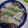 Cooksnap Maizatul Akma semasa beliau membuat Ayam Kukus Halia Chinese Style.
