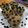 Cooksnap dari Dapoer Kyara untuk resep Banana Muffin