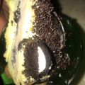 El cooksnap de Cani42016 cuando hizo Torta helada bien fácil.