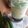 Cooksnap dari Dapur Mama Alde untuk resep Cendol Hunkwe/ Dawet Hunkwe