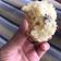 Cooksnap của Neo khi họ làm theo món Muffin nho khô