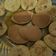 Cooksnap dari Setiora Teguh untuk resep Oat Pancake MPASI 1y+