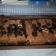 Cooksnap dari ine untuk resep Brownies kukus original