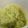 El cooksnap de Carla Marina Marenco cuando hizo Aderezo a base de palta y arvejas: sin gluten y vegano.