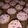 El cooksnap de Luci Gauna cuando hizo Cupcakes de vainilla.