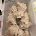 Cooksnap dari Erinne untuk resep Pempek bangka