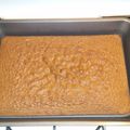 stickgirl's cooksnap of when they made Easy Chocolate Sponge Cake.