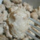 Cooksnap dari Nisa Nisa untuk resep Bakso Sapi Kenyal Banget 👍🏻(#homemadeDBest)