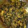 Cooksnap dari nur khasanah untuk resep Keong sawah masak pedes