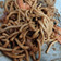 Cooksnap dari An ugrah untuk resep Mie Goreng Solaria